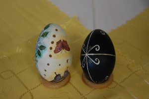 DSC_0658 (2)